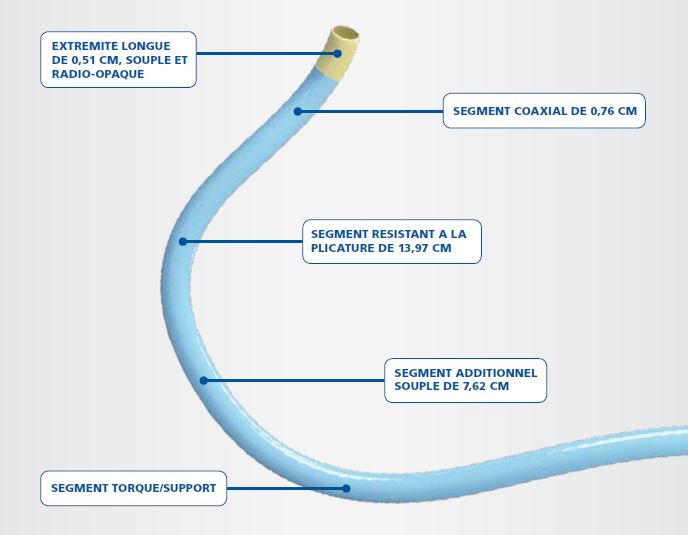 Guiding Catheter